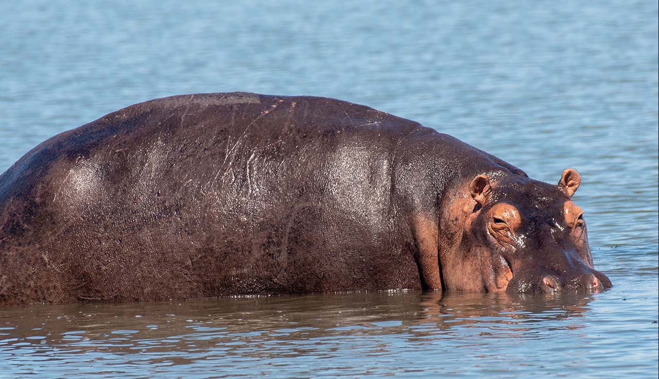 Murchison Falls National Park